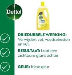 Dettol - Power & Fresh - Allesreiniger - Citrus - 8 X 1 Liter -HG Schoonmaak Verkoop 1149x1200