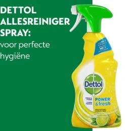 Dettol - Power & Fresh - Allesreinger Spray - Citrus - 6 X 500 Ml -HG Schoonmaak Verkoop 1150x1200 3