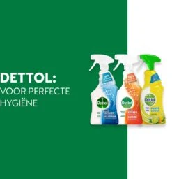 Dettol - 1,5L Allesreiniger Spray Power & Fresh - Badkamer 1x500 Ml Keuken 1x500ml Citrus 1x500ml - Voordeelverpakking -HG Schoonmaak Verkoop 1159x1200 1