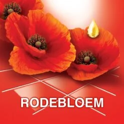 Ajax® Ajax Allesreiniger Fête Des Fleur Rode Bloem 8 X 1L - Voordeelverpakking -HG Schoonmaak Verkoop 1200x1200 272