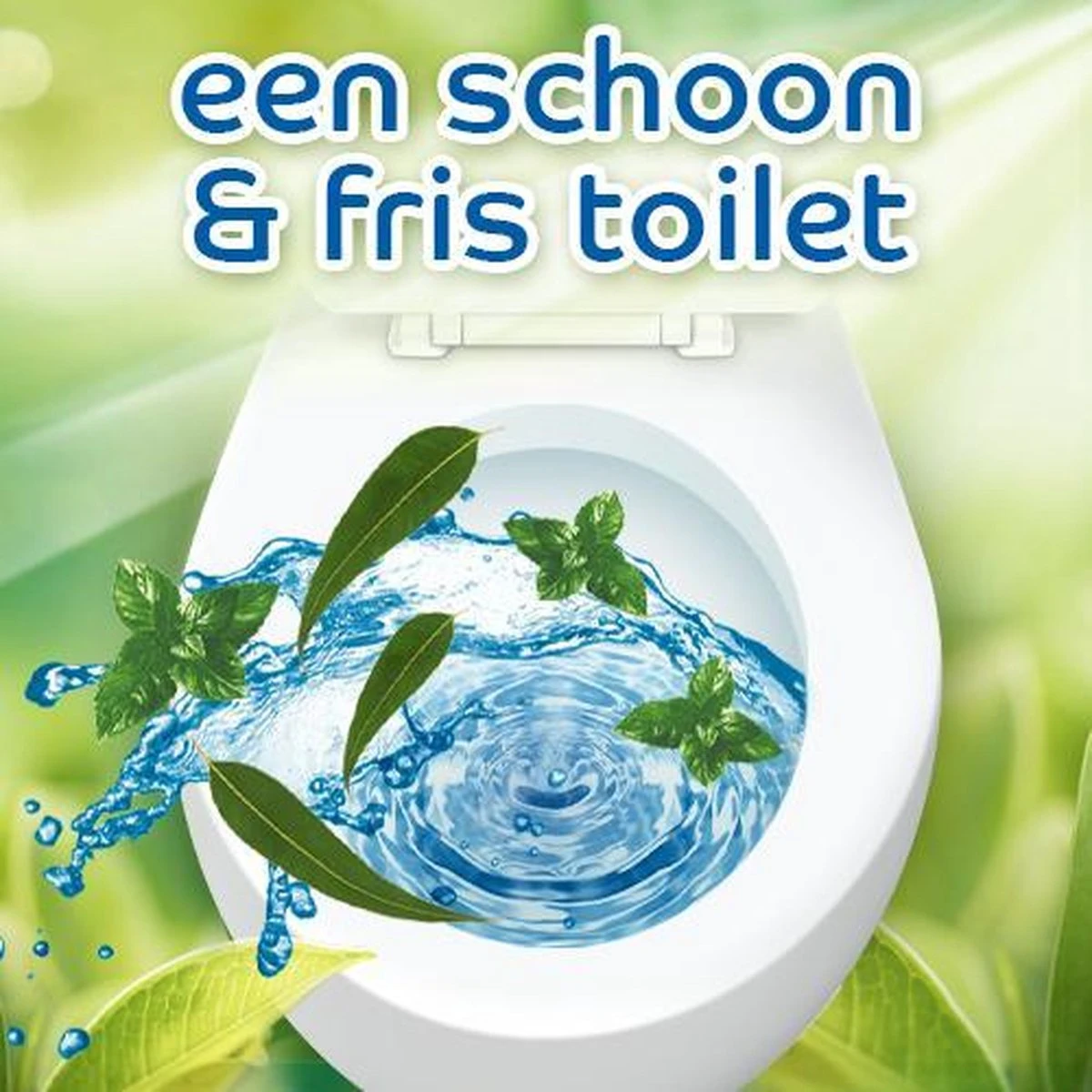 Witte Reus Pro Nature Munt Eucalyptus - 10 Stuks 5 Witte Reus Pro Nature Munt Eucalyptus - 10 Stuks - Afbeelding 5