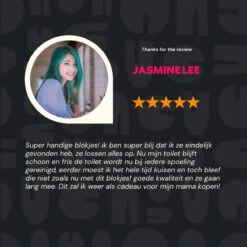 Merkloos Toiletblokjes Voor Inbouwreservoirs – WC-blokjes – Toiletblokken In Een Voordeelverpakking – 30 Stuks 15 Merkloos Toiletblokjes Voor Inbouwreservoirs – WC-blokjes – Toiletblokken In Een Voordeelverpakking – 30 Stuks -HG Schoonmaak Verkoop 1200x1200 420