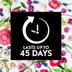 Air Wick Essential Mist Automatische Geurverspreider Luchtverfrisser - Innerlijke Rust - Navulling -HG Schoonmaak Verkoop 1200x1200 471